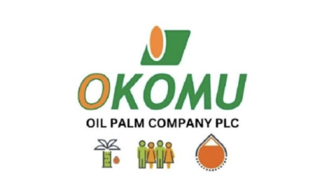 Okomu Oil Palm Partners to Launch Solar Hybrid Mini-Grid in Edo State
