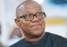 Labour Party Chieftain Sues Over Peter Obi's Academic Credentials
