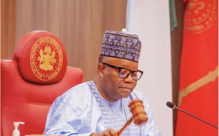 Senator Godswill Akpabio( Senate President), said that federal lawmakers will integrate campaign while doing their jobs.